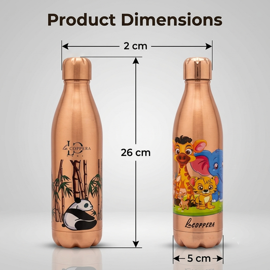 Cosmo Small Copper Bottle 700ml – Pure & Ayurvedic Drinking Bottle