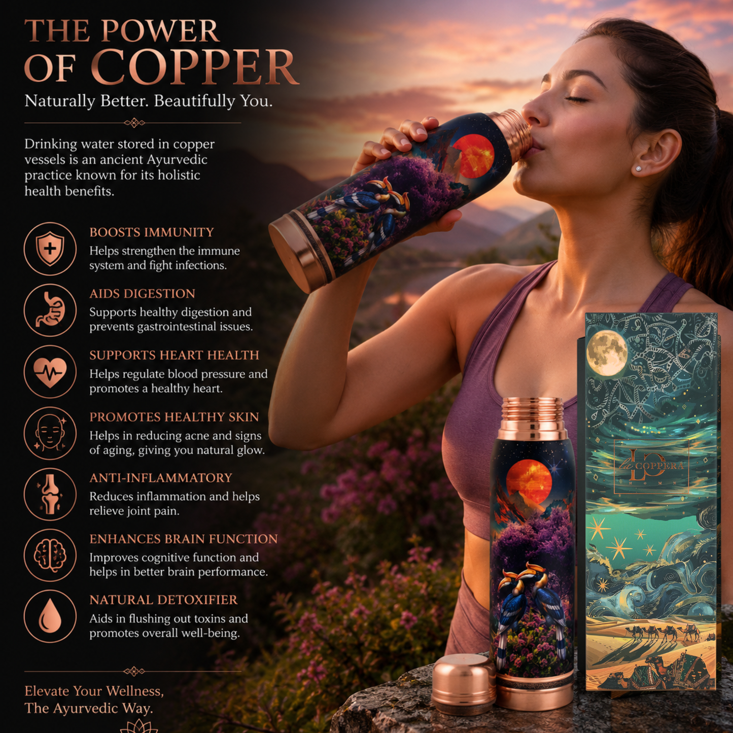 Ayurship Twilight Pure Copper Water Bottle | 1000ml | La Coppera